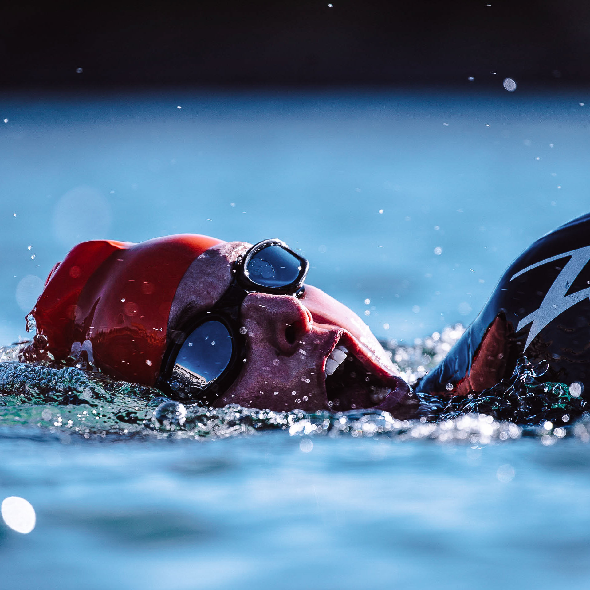 Coaching und Beratung im Bereich Triathlon und Schwimmen